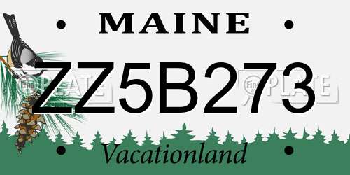 ZZ5B273 Maine License Plate
