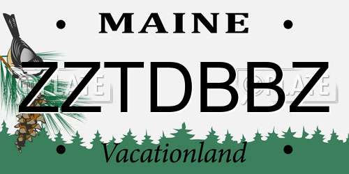 ZZTDBBZ Maine License Plate