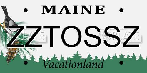 ZZTOSSZ Maine License Plate