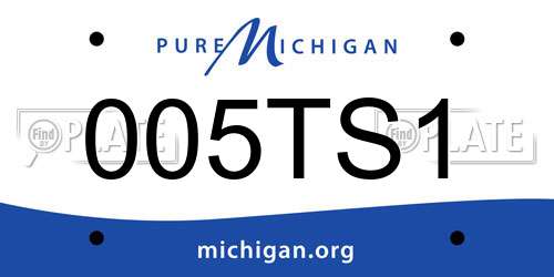 005TS1 Michigan License Plate