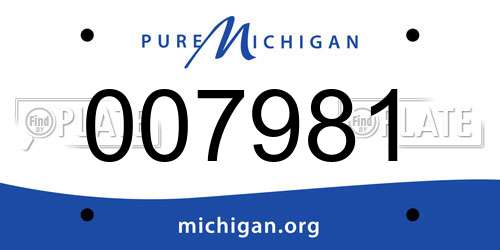 007981 Michigan License Plate