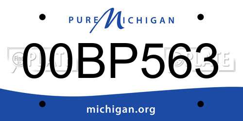 00BP563 Michigan License Plate