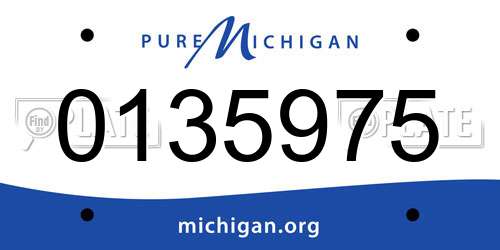 0135975 Michigan License Plate