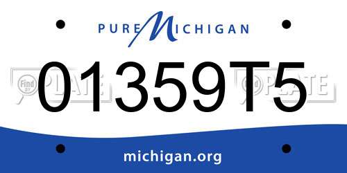 01359T5 Michigan License Plate
