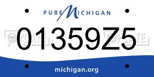 01359Z5 Michigan License Plate