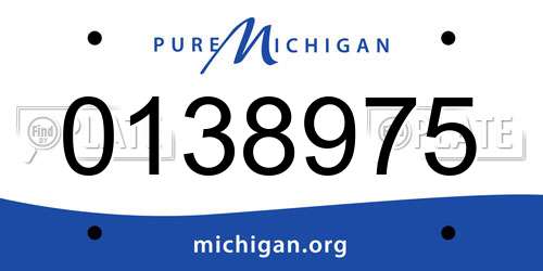 0138975 Michigan License Plate