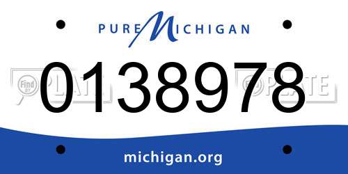0138978 Michigan License Plate