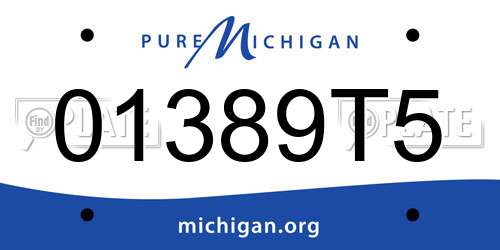 01389T5 Michigan License Plate