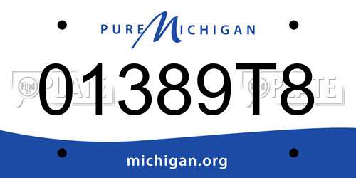 01389T8 Michigan License Plate