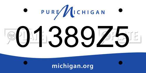 01389Z5 Michigan License Plate