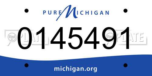 0145491 Michigan License Plate