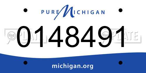 0148491 Michigan License Plate