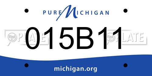 015B11 Michigan License Plate