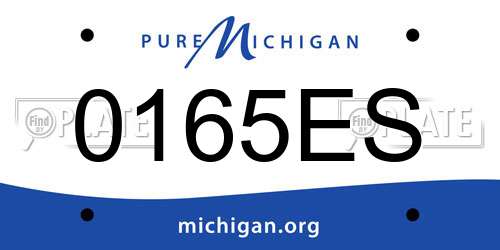 0165ES Michigan License Plate