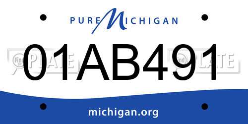 01AB491 Michigan License Plate