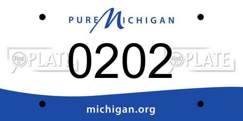 0202 Michigan License Plate