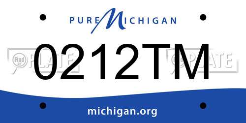 0212TM Michigan License Plate