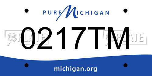 0217TM Michigan License Plate