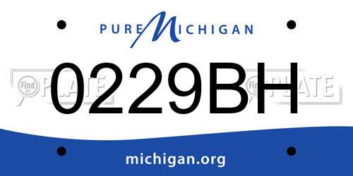 0229BH Michigan License Plate