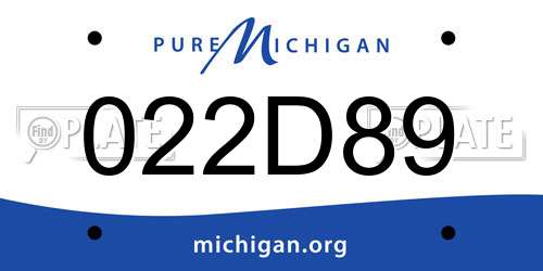 022D89 Michigan License Plate