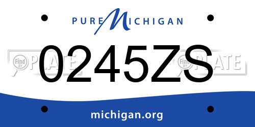 0245ZS Michigan License Plate