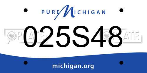 025S48 Michigan License Plate