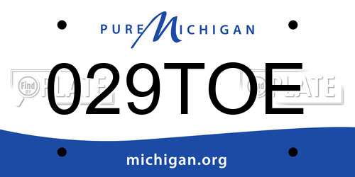 029TOE Michigan License Plate