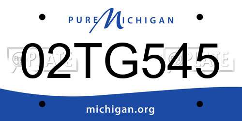 02TG545 Michigan License Plate
