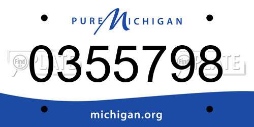 0355798 Michigan License Plate