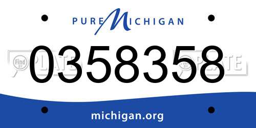 0358358 Michigan License Plate
