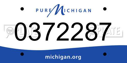 0372287 Michigan License Plate