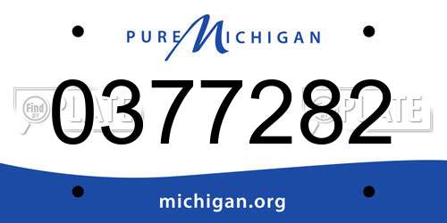 0377282 Michigan License Plate