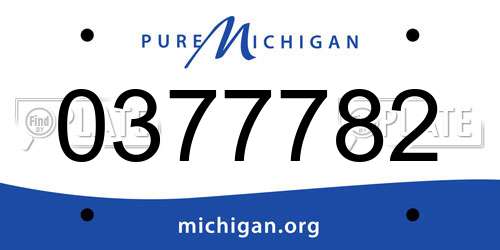 0377782 Michigan License Plate
