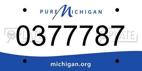 0377787 Michigan License Plate