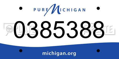 0385388 Michigan License Plate