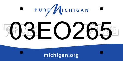 03EO265 Michigan License Plate