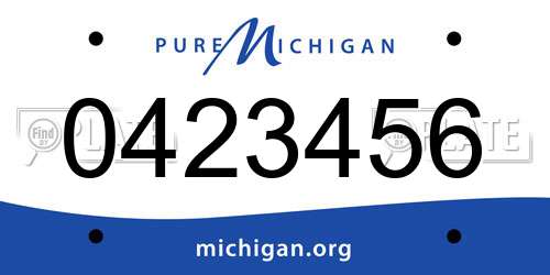 0423456 Michigan License Plate