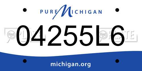 04255L6 Michigan License Plate