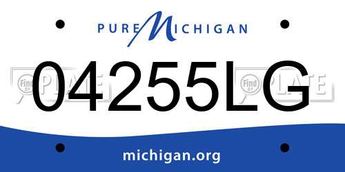 04255LG Michigan License Plate