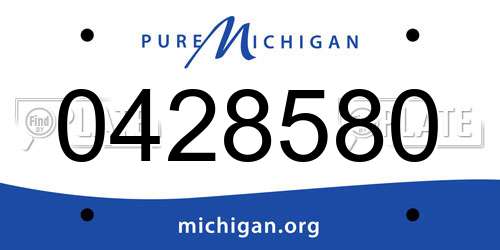 0428580 Michigan License Plate