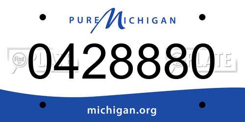 0428880 Michigan License Plate