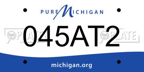 045AT2 Michigan License Plate