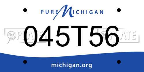 045T56 Michigan License Plate