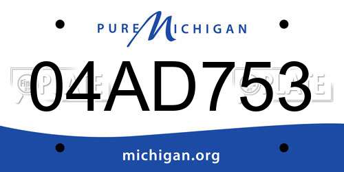 04AD753 Michigan License Plate