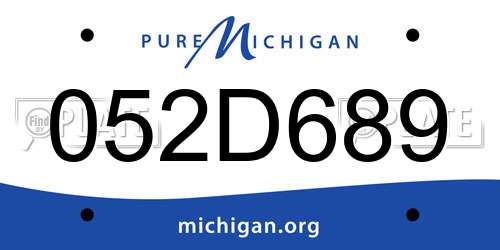 052D689 Michigan License Plate