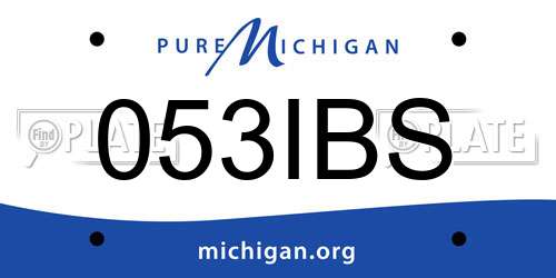 053IBS Michigan License Plate