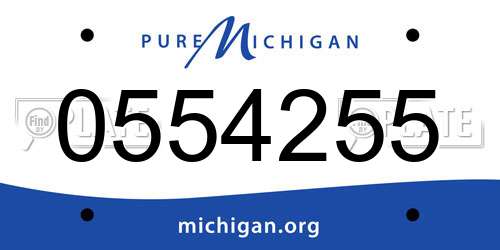 0554255 Michigan License Plate