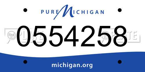 0554258 Michigan License Plate