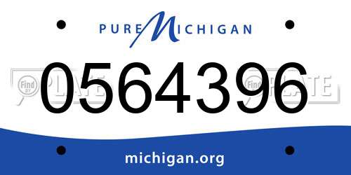 0564396 Michigan License Plate