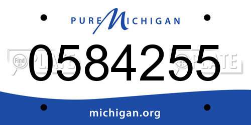 0584255 Michigan License Plate